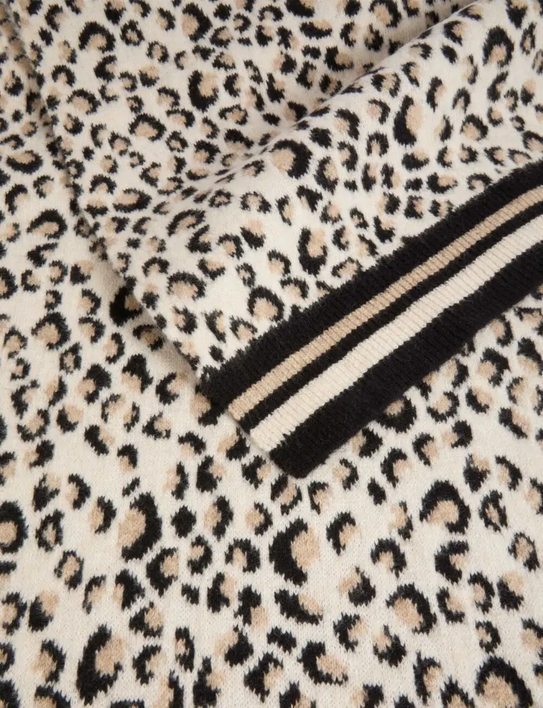 echarpe-imprime-leopard-multicolore-femme-vue4-32536311034360900.webp